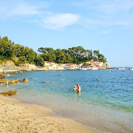 T2 Cosy Toulon, Proche Plage Екстериор снимка